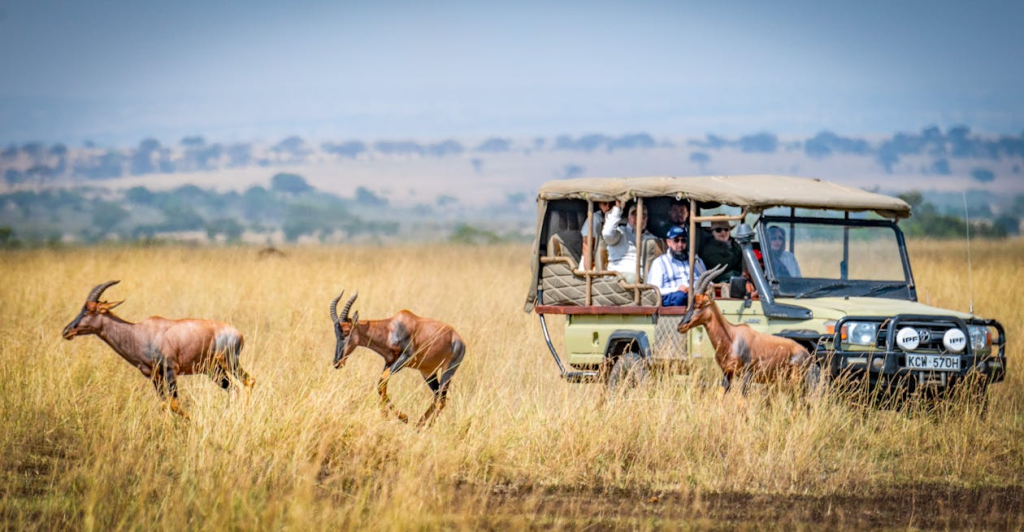 Experience the Magic of Maasai Mara with Warm & Wild Safaris