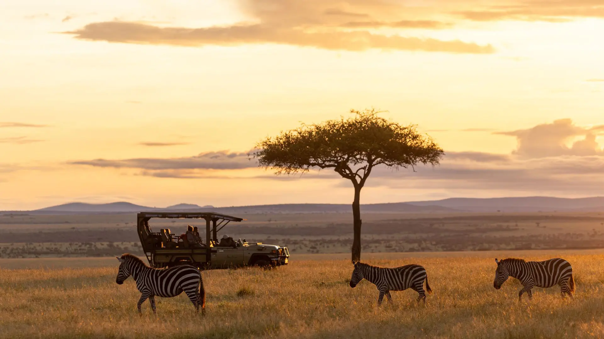 Your Dream Kenyan Adventure Starts Here
