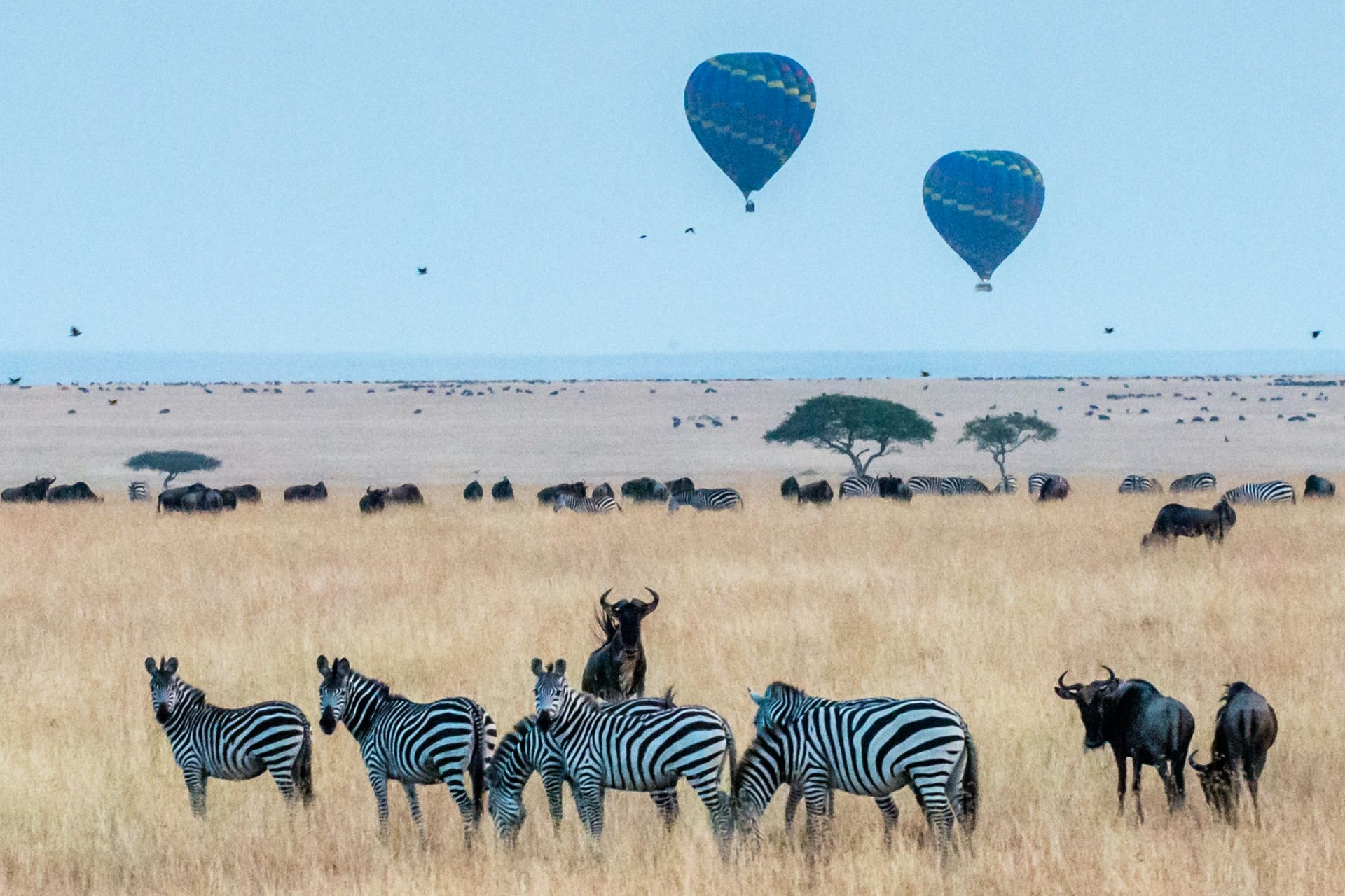 Kenya