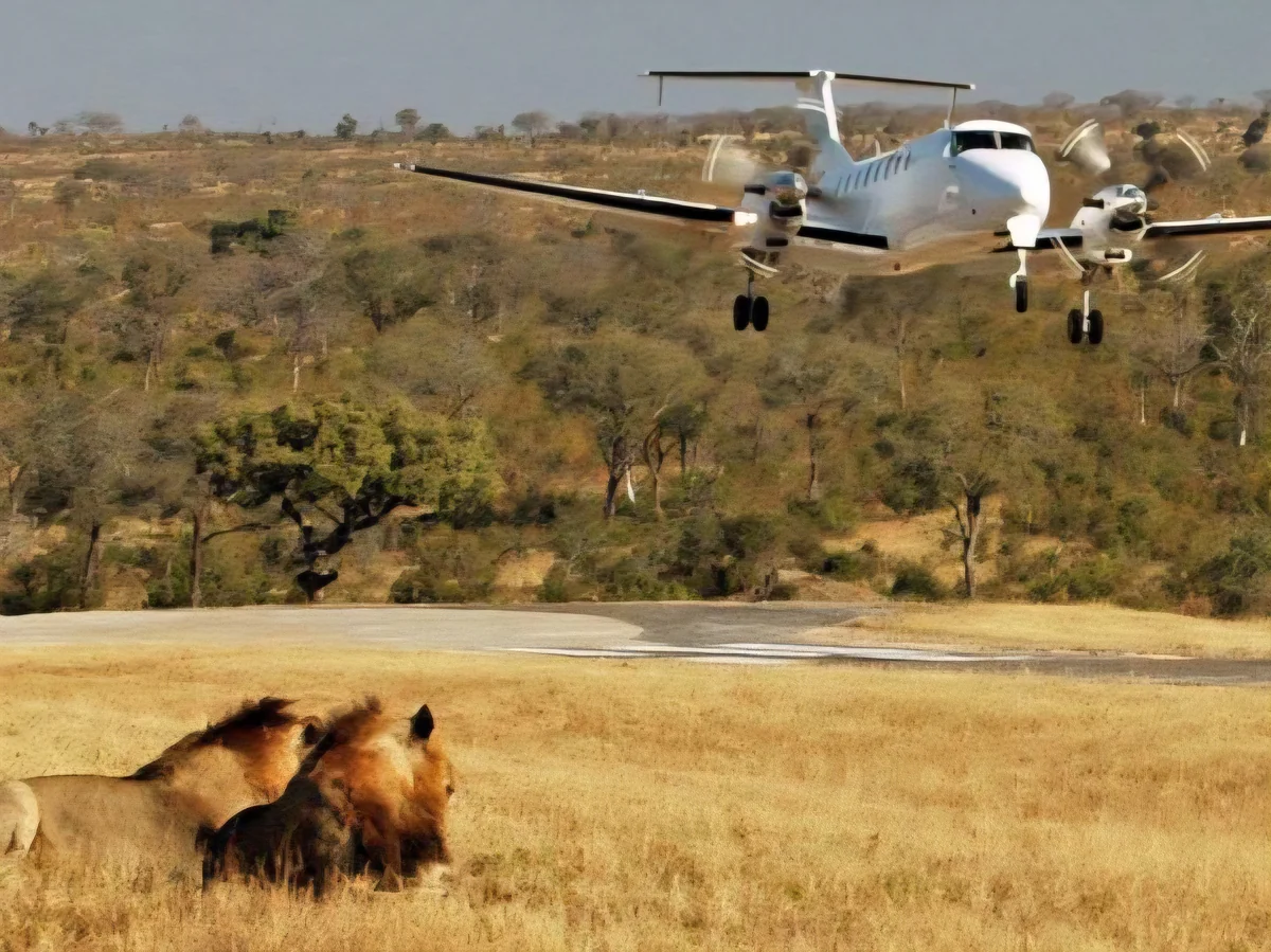 9 DAYS ROAD AND AIR KENYA FAMILY SAFARI