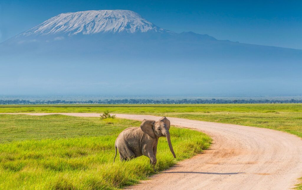 amboseli national park
